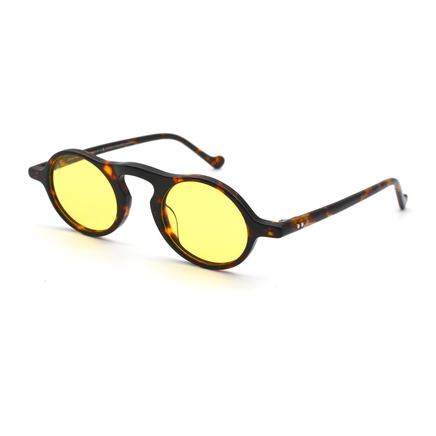 Freesbee Lamont Acetate Unisex Sunglasses with Tinted Photochromic Lenses