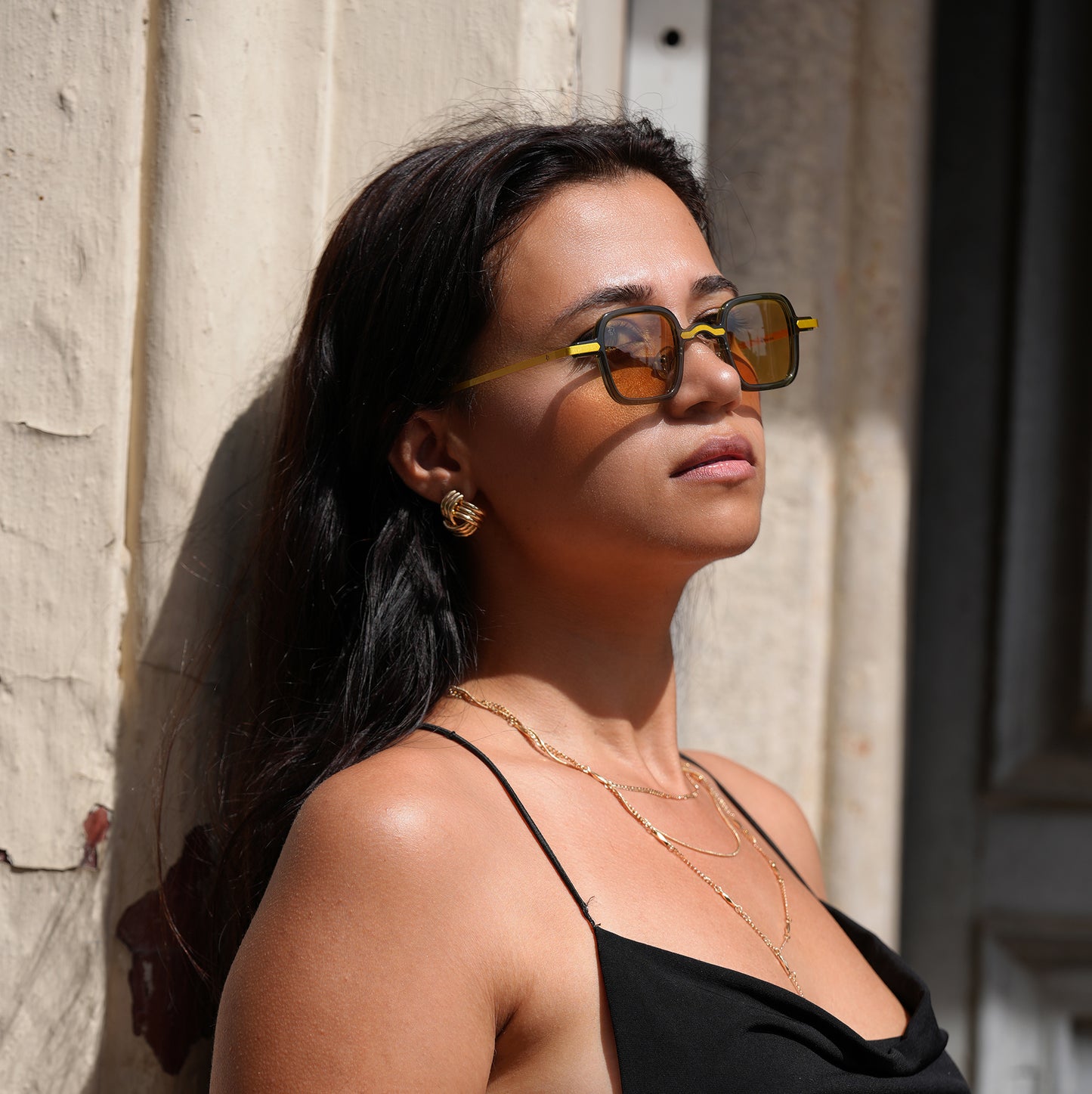 Freesbee Venice Metal-Acetate Unisex Sunglasses with Tinted Photochromic Lenses