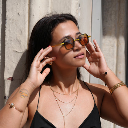 Freesbee Venice Metal-Acetate Unisex Sunglasses with Tinted Photochromic Lenses