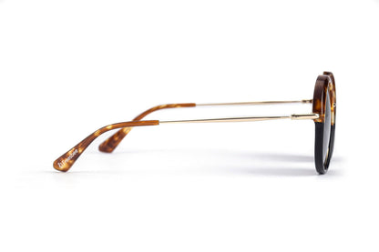 FRSB Freesbee Fresno Asetat Unisex Güneş Gözlüğü - Freesbee Turkey