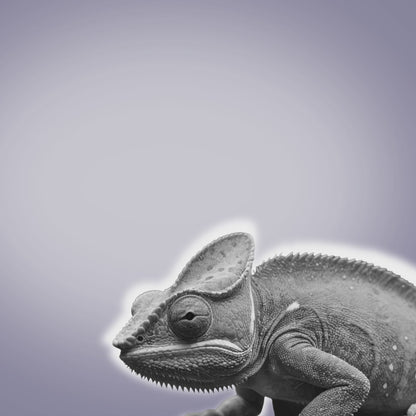 Freesbee Sunland Color Changing Acetate Unisex Sunglasses