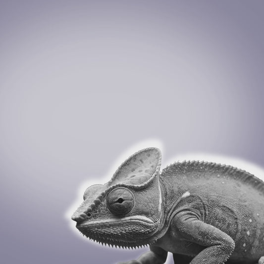 Freesbee Sunland Color Changing Acetate Unisex Sunglasses