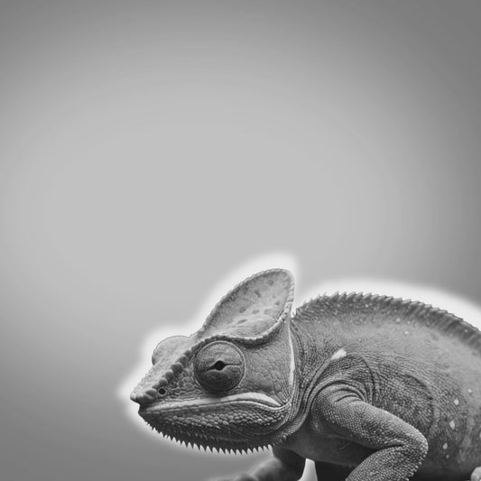 Freesbee Suncity Color Changing Acetate Unisex Sunglasses